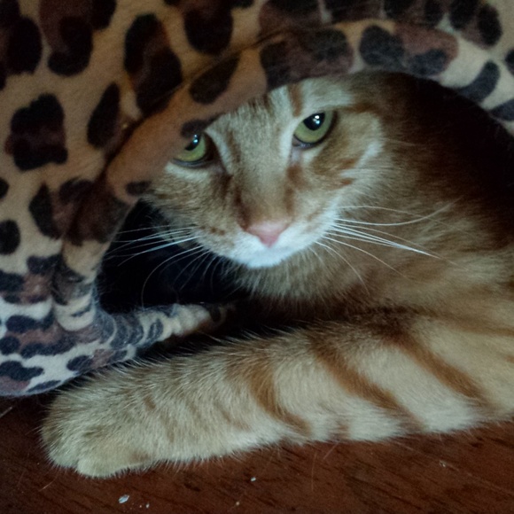 Meet your Posher, Joyce - Picture 4 of 7